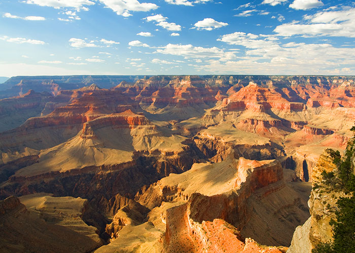 Wide Grand Canyon